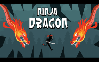 Ninja Dragon